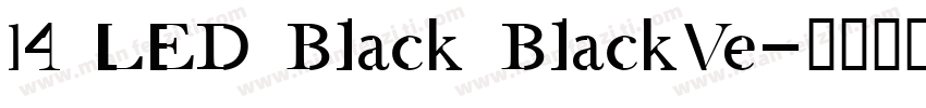 14 LED Black BlackVe字体转换